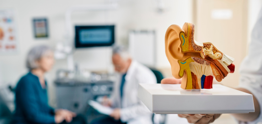 Audiologia especializada