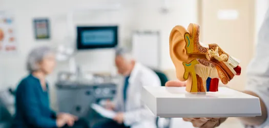 Audiologia especializada